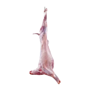 Mutton Carcass (Rs 2400/ kg Approx . 12 Kg)