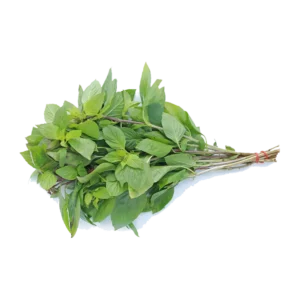 Basil (1 Kg)