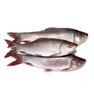 Rohu Fish (2000gm) Per Kg