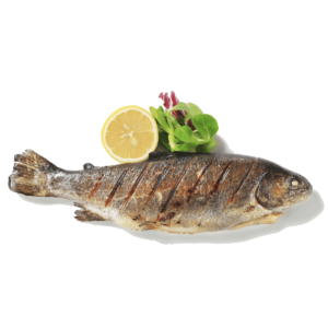 Trout Fish(1 KG)